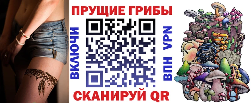 Купить закладки  Белокуриха  Псилоцибиновые грибы MAGIC MUSHROOMS 